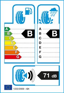 205/60 R16 96 H ESKIMO HP2 SAVA