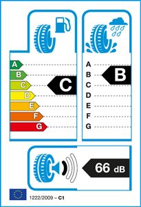 205/50R17 89W EFFICIENTGRIP * ROF FP GOODYEAR