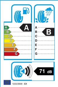225/55R17 101Y EFFIGRIP PERF * XL GOODYEAR